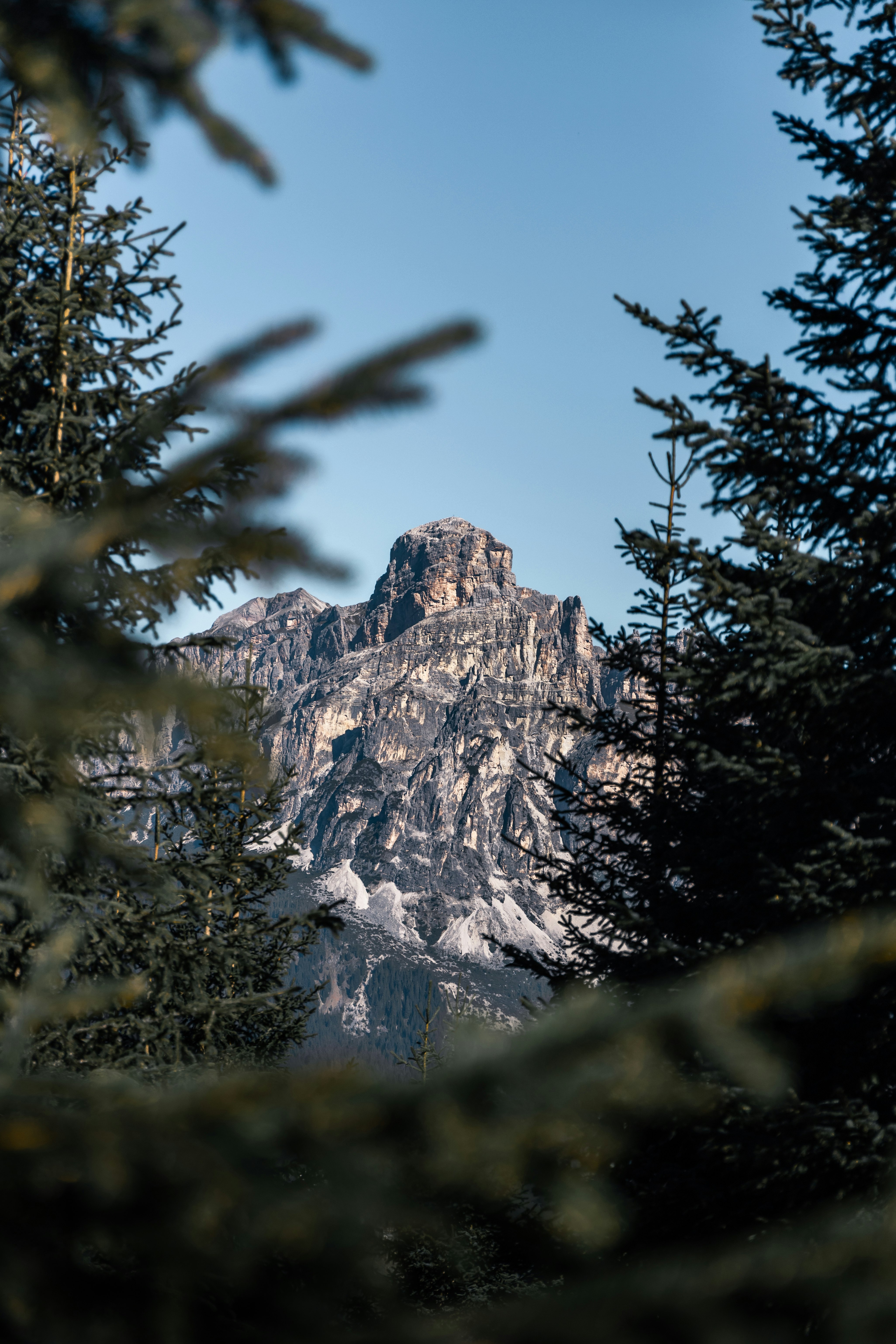 green trees near mountain during daytime